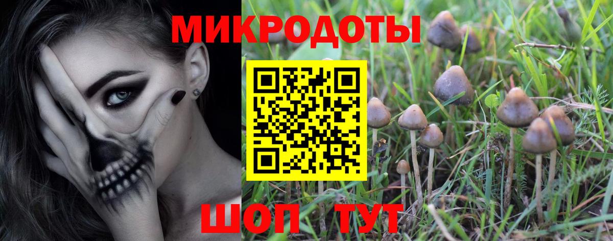 Галлюциногенные грибы MAGIC MUSHROOMS Майский